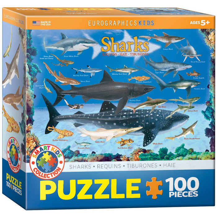 Puzzles by EuroGraphics