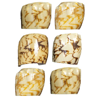 U.S. Shell Inc. Napkin Ring