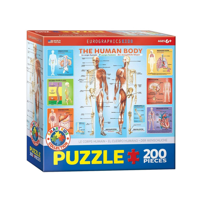 EuroGraphics Puzzles, 13" X 19", Multicolor