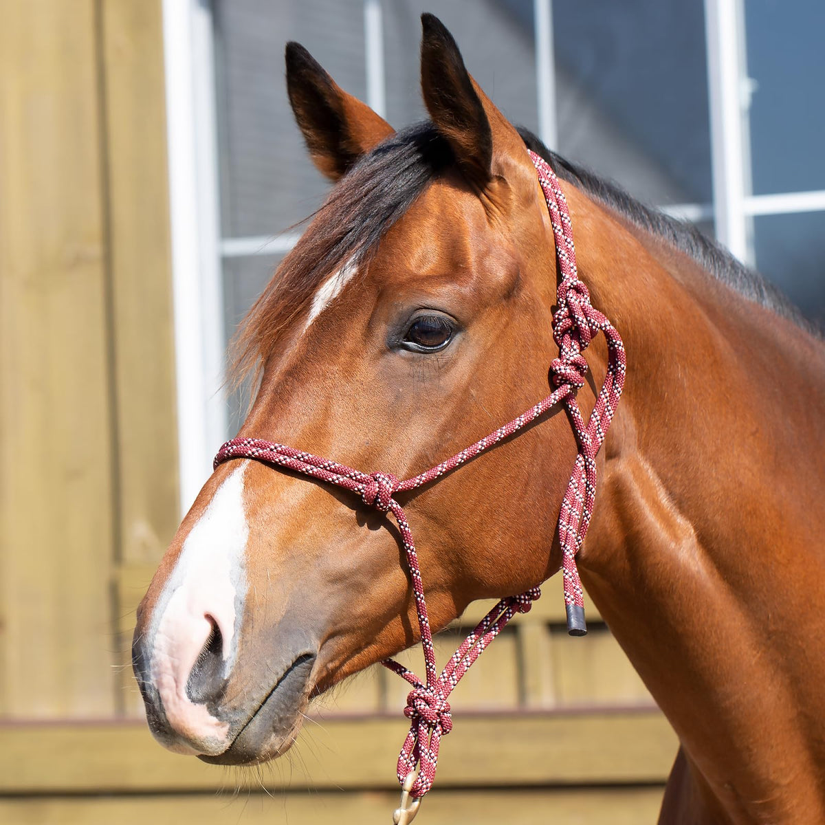 Equinavia Blanket, Horse, Brick Red/Black