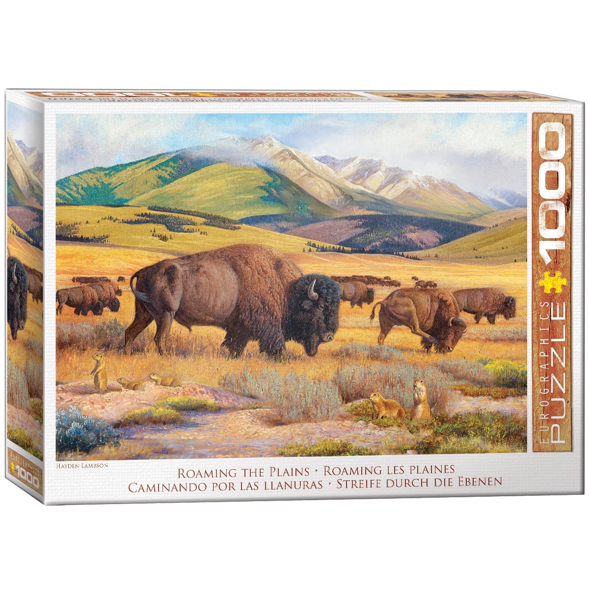 Bison - Roaming The Plains by Hayden Lambson