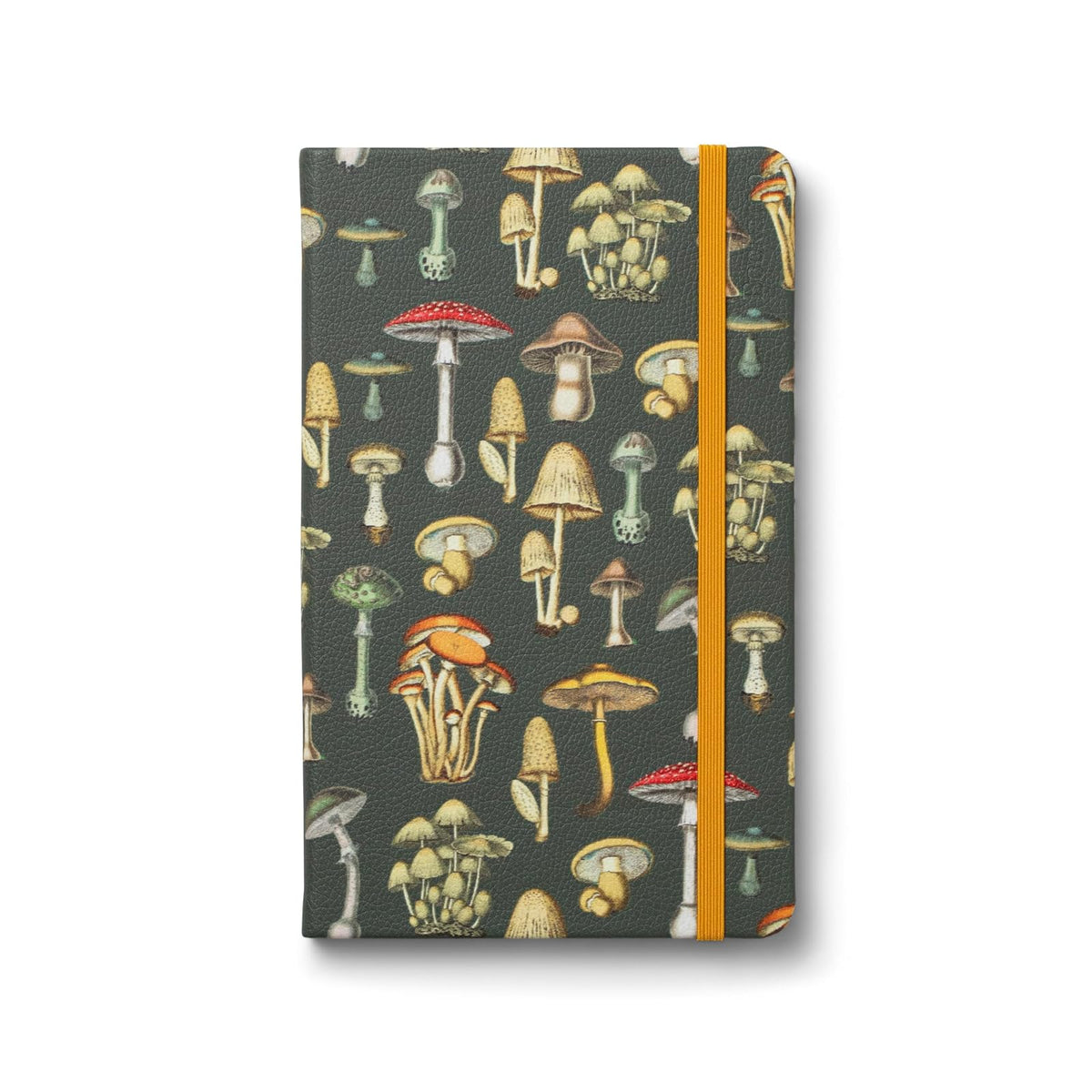 IF Blank Book