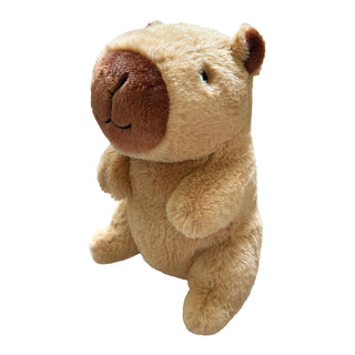 FOUFIT Pet Toy