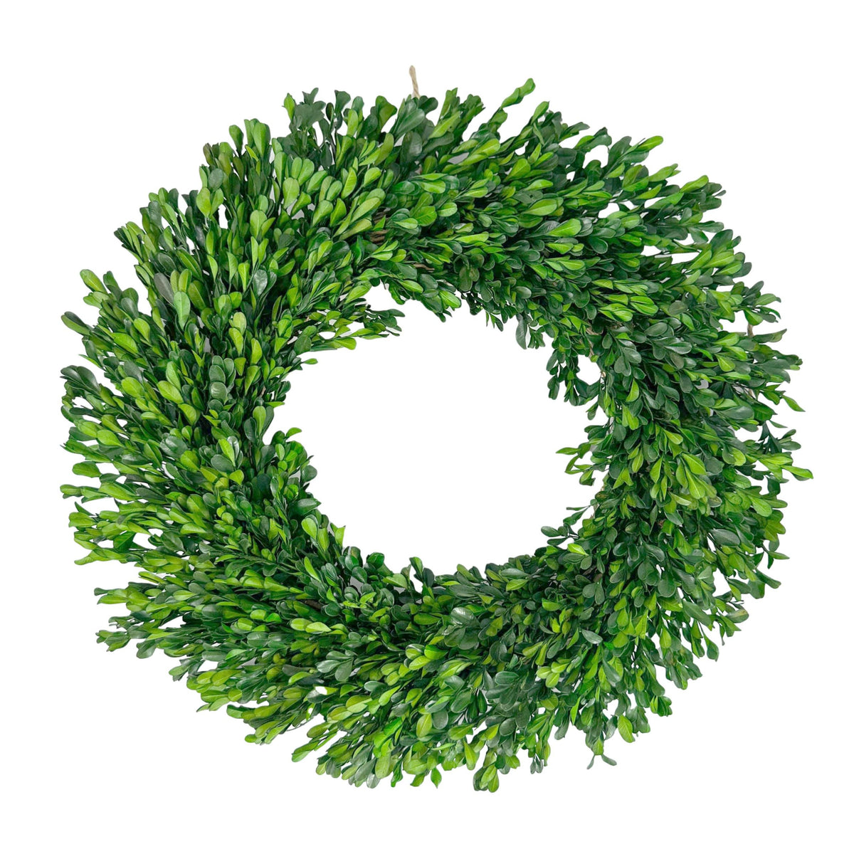 Galt International Wreath, 21", Green Boxwood