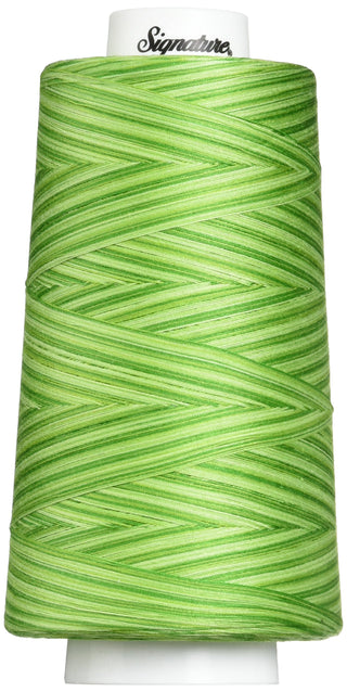 Signature Yarn, 3000 yd, Variegated Spring Grass