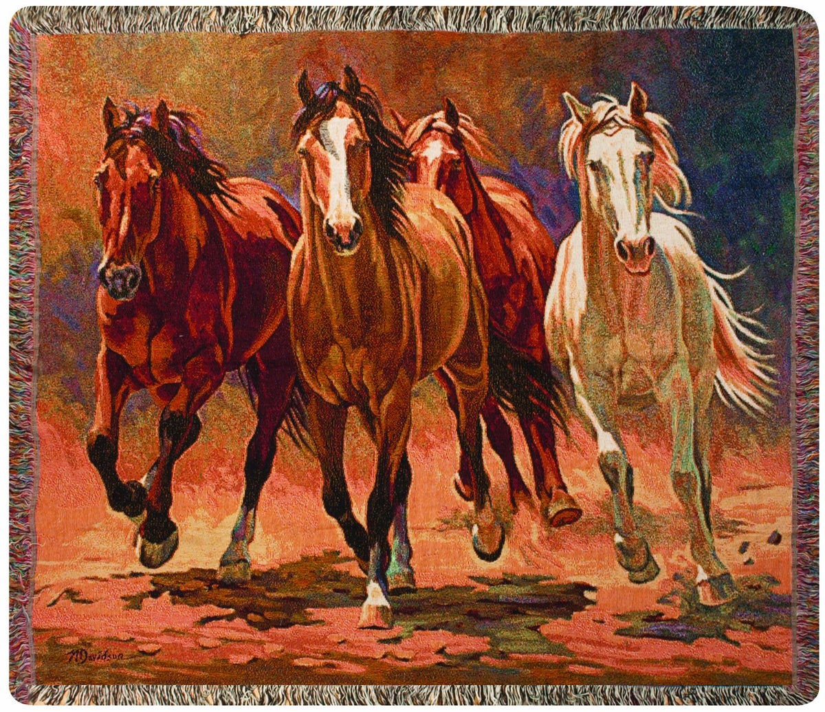 Manual Western DÁüácor Collection 50 x 60-Inch Tapestry Throw, Hoofbeats and Heartbeats by Nancy Davidson