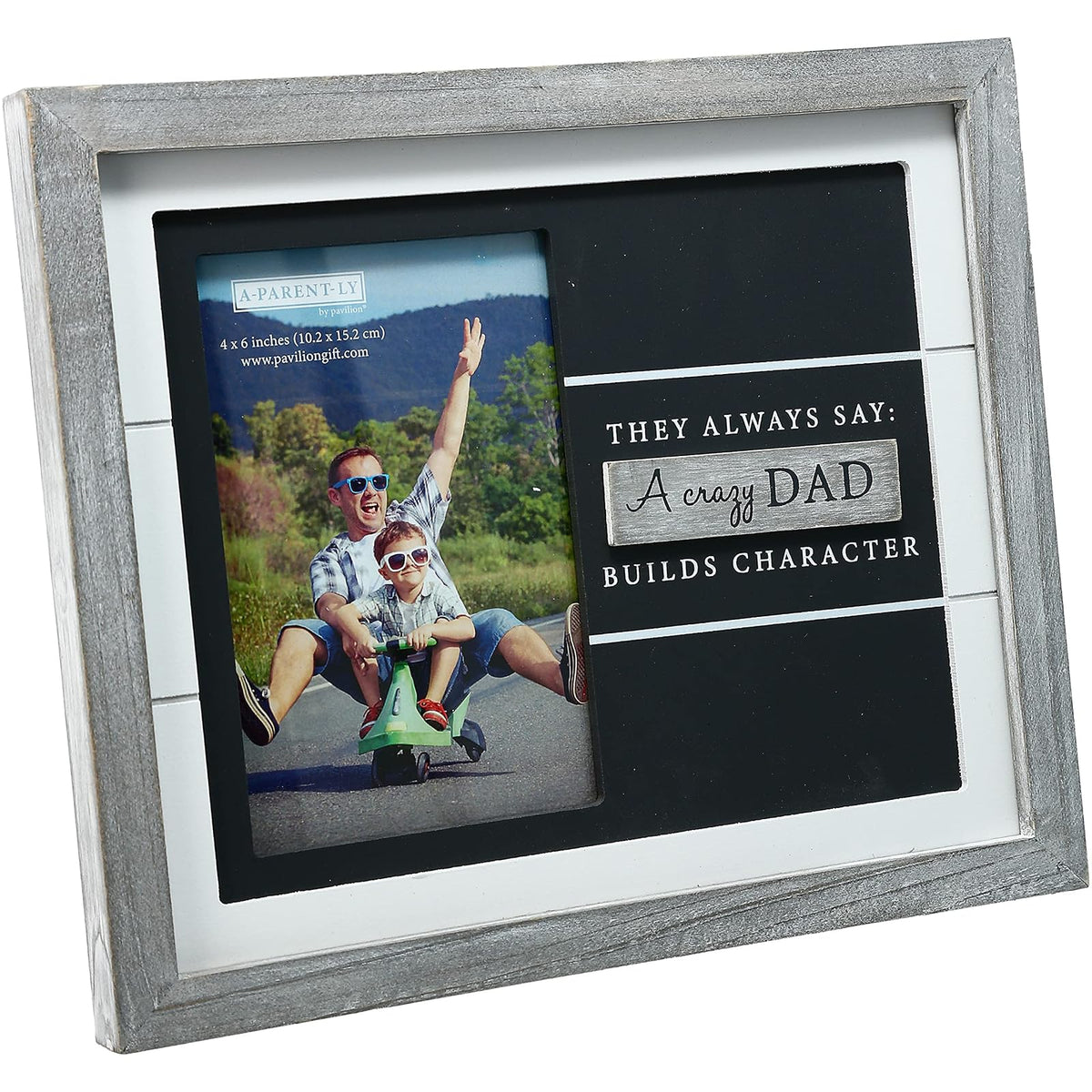 Pavilion Gift Company Picture Frame, 4" x 6" Photo Holder, Gray & White