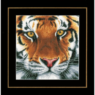 Lanarte Art Craft Kit