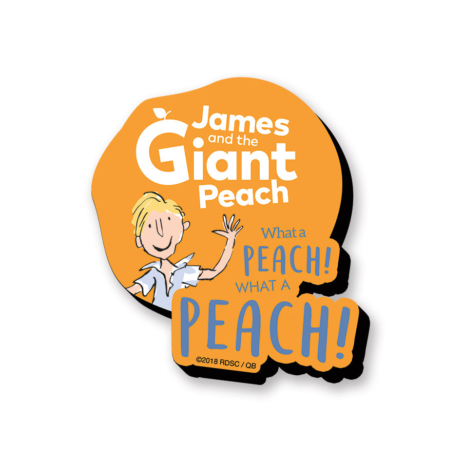 AQUARIUS Decorative Magnet, James and the Giant Peach, Game Room