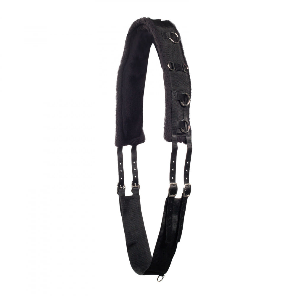 HORZE Weightlifting Belt, Horse, Black