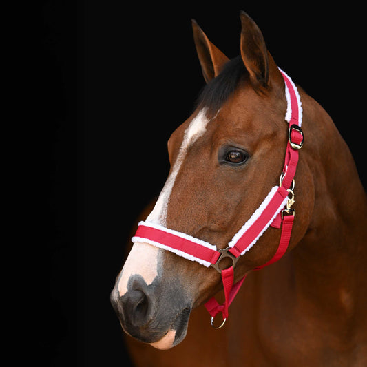 HORZE Santa Faux Fur Polyester Adjustable Christmas Horse Halter - Red - Cob