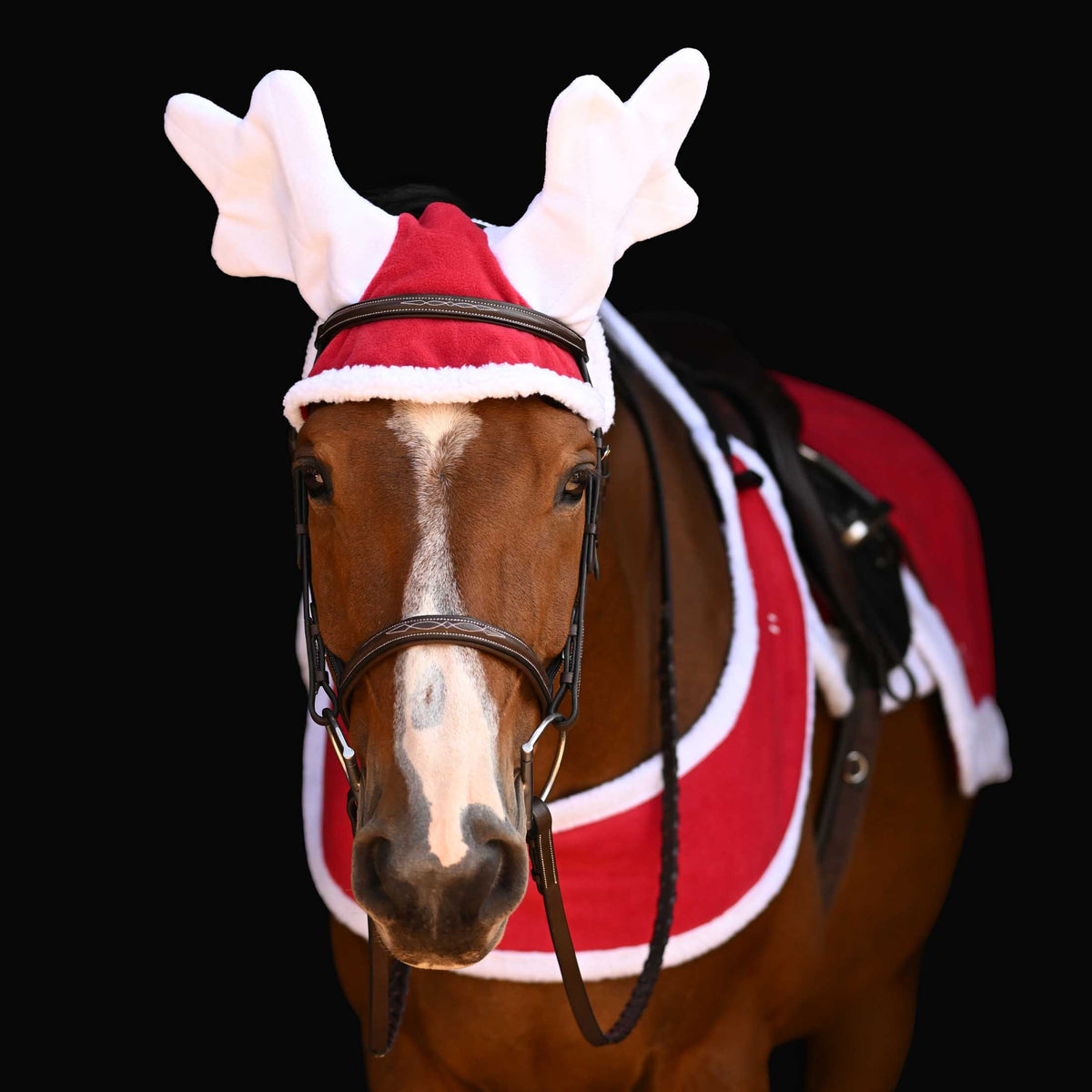 HORZE Pet Apparel, Horse, Red