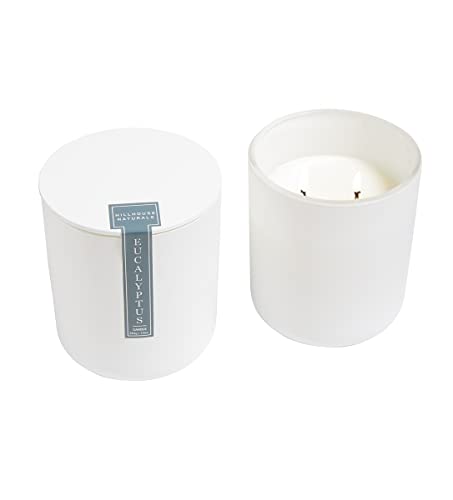 Field + Fleur Eucalyptus 2 Wick Aromatherapy Candle in Modern White Glass with Lid, 10 oz, Home Fragrance Accessories