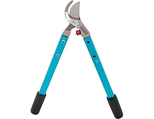 Zenport MV20 Professional Tree Lopper, Vine and Light Tree, 2-Inch Cut, Forged Head, 20-Inch Long