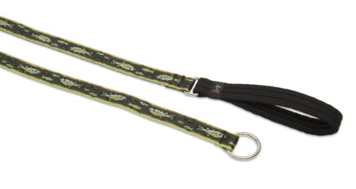 Lupine Pet Originals 1" Brook Trout 6-foot Slip Lead/Leash for Medium and Larger Dogs
