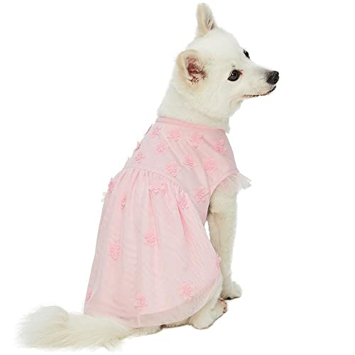 Blueberry Pet My Little Princess Dog Tulle Dress in Baby Pink with Dainty Flower, Back Length 16", Pack of 1 Clothes for Dogs
