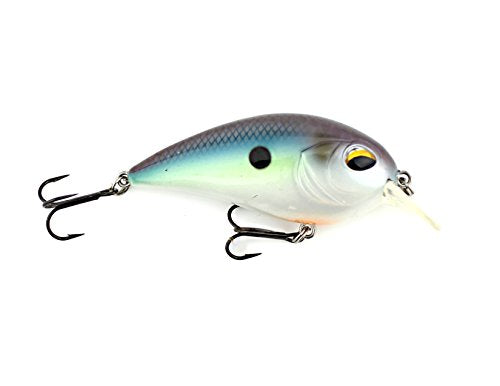 Jenko Fishing CDSGS CD² - 65mm Square Bill Crank Bait Gizzard Shad 5/8 oz