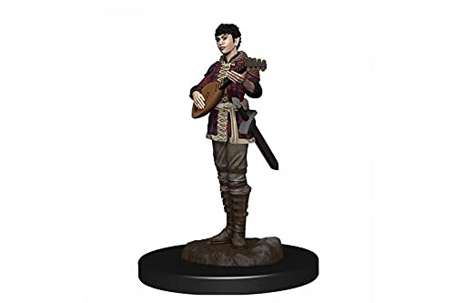 WizKids Store Pathfinder Battles Premium Painted Figure Human Bard Female