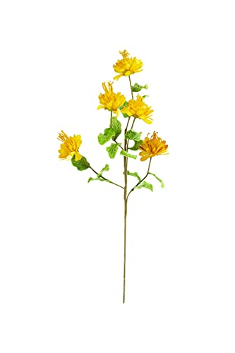 KALALOU CLX3261 Botanica #3261