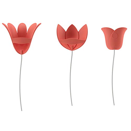 Umbra Bloomer Wall Decor Coral