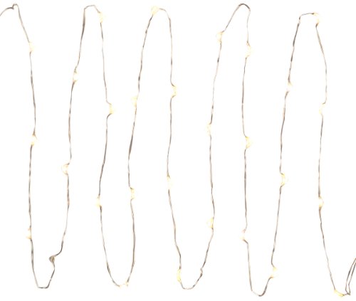 Gerson Everlasting Glow Micro LED Light String, 30 Warm White Light, Electric, Timer
