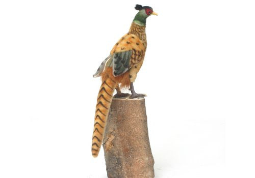 Hansa-3846 image
