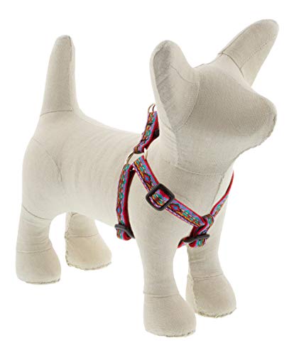Lupine Pet Small Adjustable Step in Dog Harness by Lupine 1/2" Wide El Paso Design with 12-18" Adjustable Girth