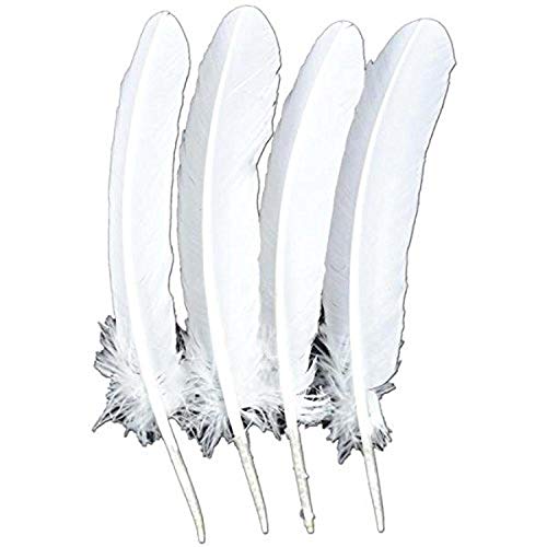 Midwest Design Touch of Nature 4-Piece Turkey Feather for Art and Craft, 12.25 to 13-Inch, White