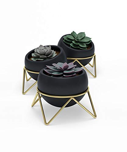 Umbra Potsy Set of 3 Planters, Black & Brass