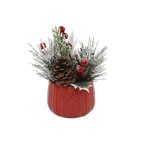 Flora Bunda Xmas Mix in Red Sweater Ceramic Pot 3.5X3.5X3