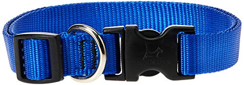 Lupine Pet Basics 3/4" Blue 15-25" Adjustable Collar for Large Dogs