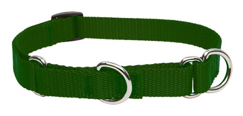 Lupine Pet Basics 3/4" Green 10-14" Martingale Collar for Small Dogs