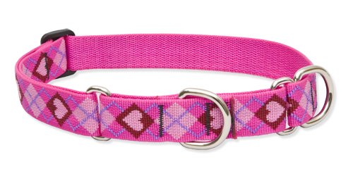 Lupine Pet Originals 1" Puppy Love 19-27" Martingale Collar for Large Dogs