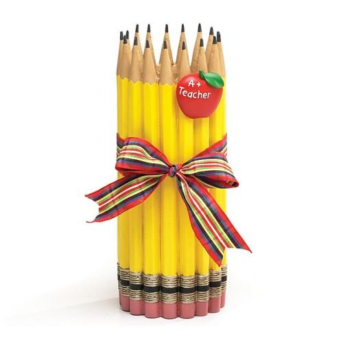 burton + BURTON Burton and Burton Unique Pencil Shape Teachers Vase with Apple