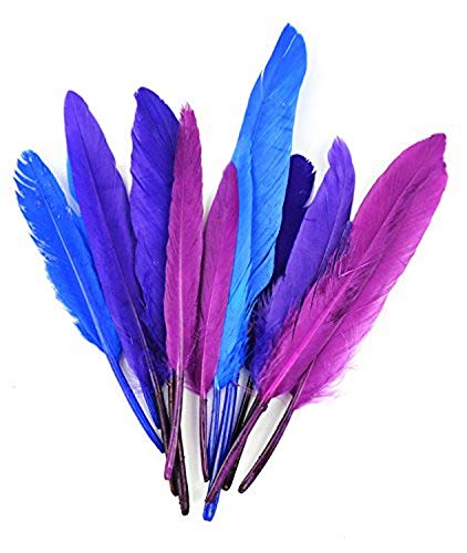 Midwest Design Touch of Nature 38373 Mini Turkey 24 Piece Quill Feathers Cool Mix, 3", Magenta/Byzantine/Jay Blue