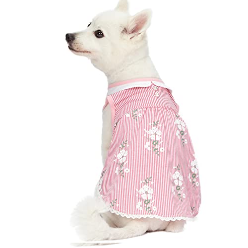 Blueberry Pet Wonderland Floral Sleeveless Dog Dress in Pink Stripe with Peter Pan Collar, Back Length 14", Pack of 1 Clothes for Dogs
