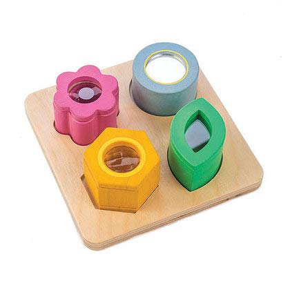 Tender Leaf Toys - Sensory Trays - Baby Blocks, Shape Sorter, STEM Learning Shape Identification Sorting Game Toy for Kids 18 Month + (Visual Sensory Trays)