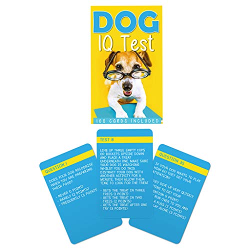 Gift Republic GR490091 Dog IQ Test