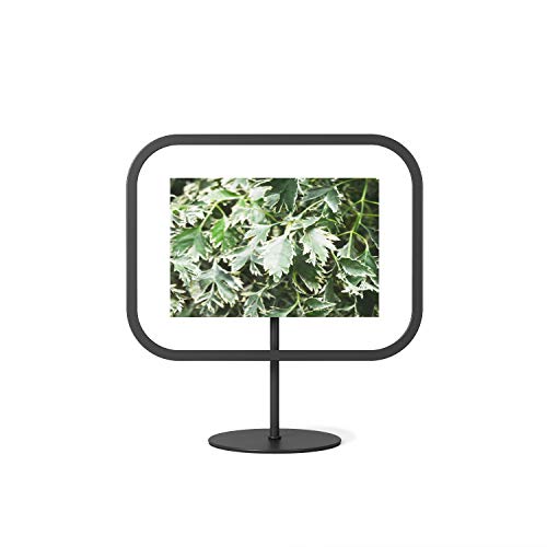 Umbra Infinity Sqround Picture Frame, Floats 4x6 Photo, 4x6
