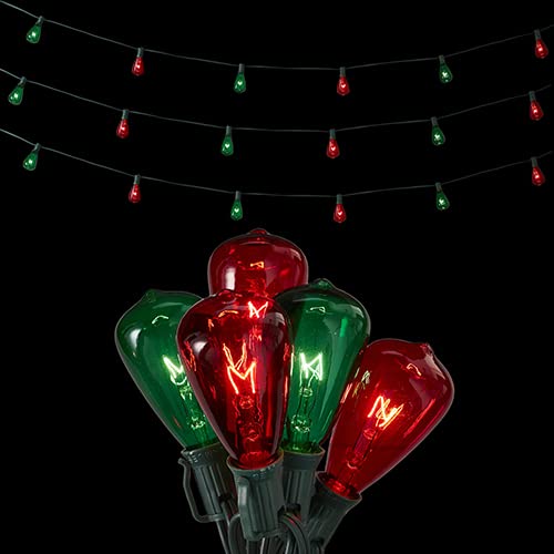 RAZ Imports 2022 Lights 14' Connectable Edison Bulb String Light Garland
