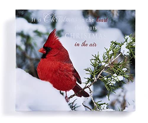 Giftcraft 682269 Christmas Wall Art with Sentiment, Cardinal