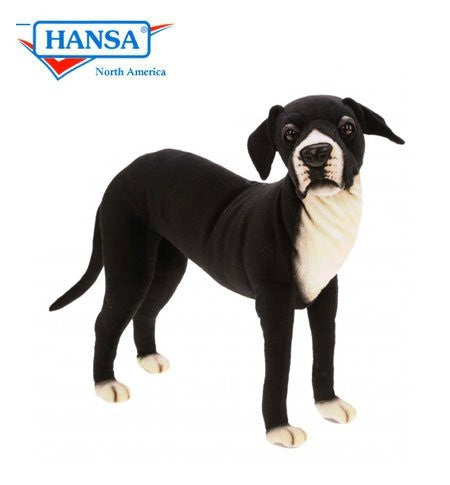 Hansa-6674 image