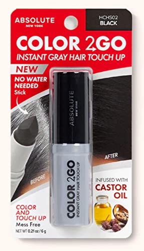 Absolute New York Color 2 Go Hair Stick Black