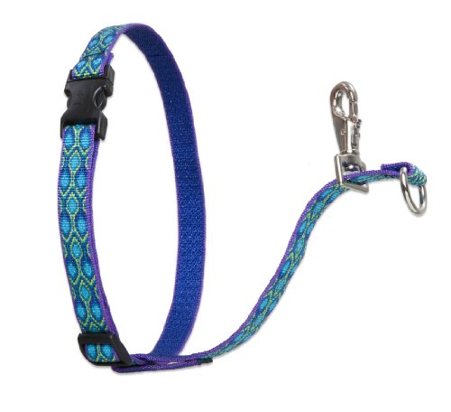 Lupine Pet Originals 3/4" Rain Song 16-26" No Pull Harness for Small-Medium Dogs