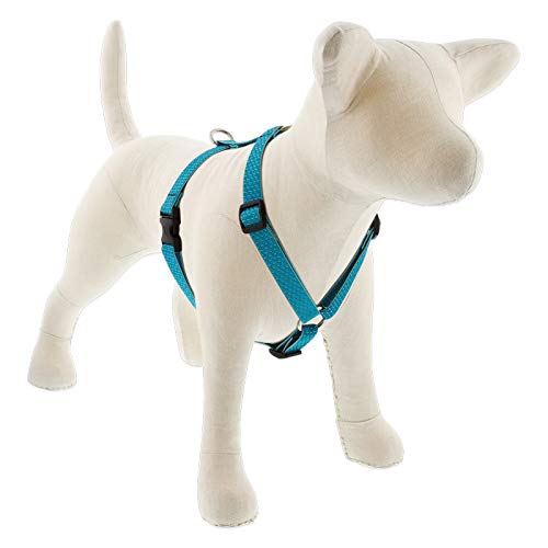 Lupine Pet Adjustable Dog Harness ECO Collection 3/4" Wide Tropical Sea with 14-24" Girth