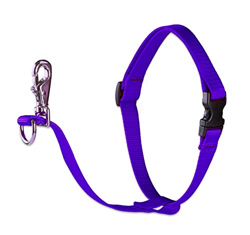 Lupine Pet Basics 3/4" Purple 16-26" No Pull Harness for Small-Medium Dogs