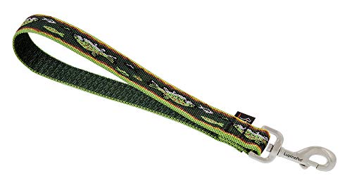 Lupine Pet Originals 1" Brook Trout 11" Training Tab/Leash for Medium and Larger Dogs