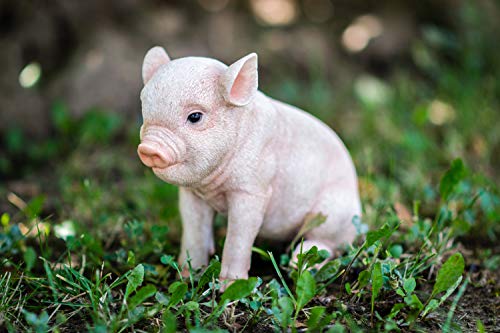 Hi Line Gift Ltd Sitting Baby Pig, 6"