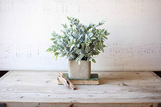 Kalalou GwG Outlet Artificial Sage Bush in A Square Pot CNL1010