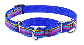 Lupine Pet Martingale Dog Collar 3/4" Wide Ripple Creek Design adjusts 14" to 20"